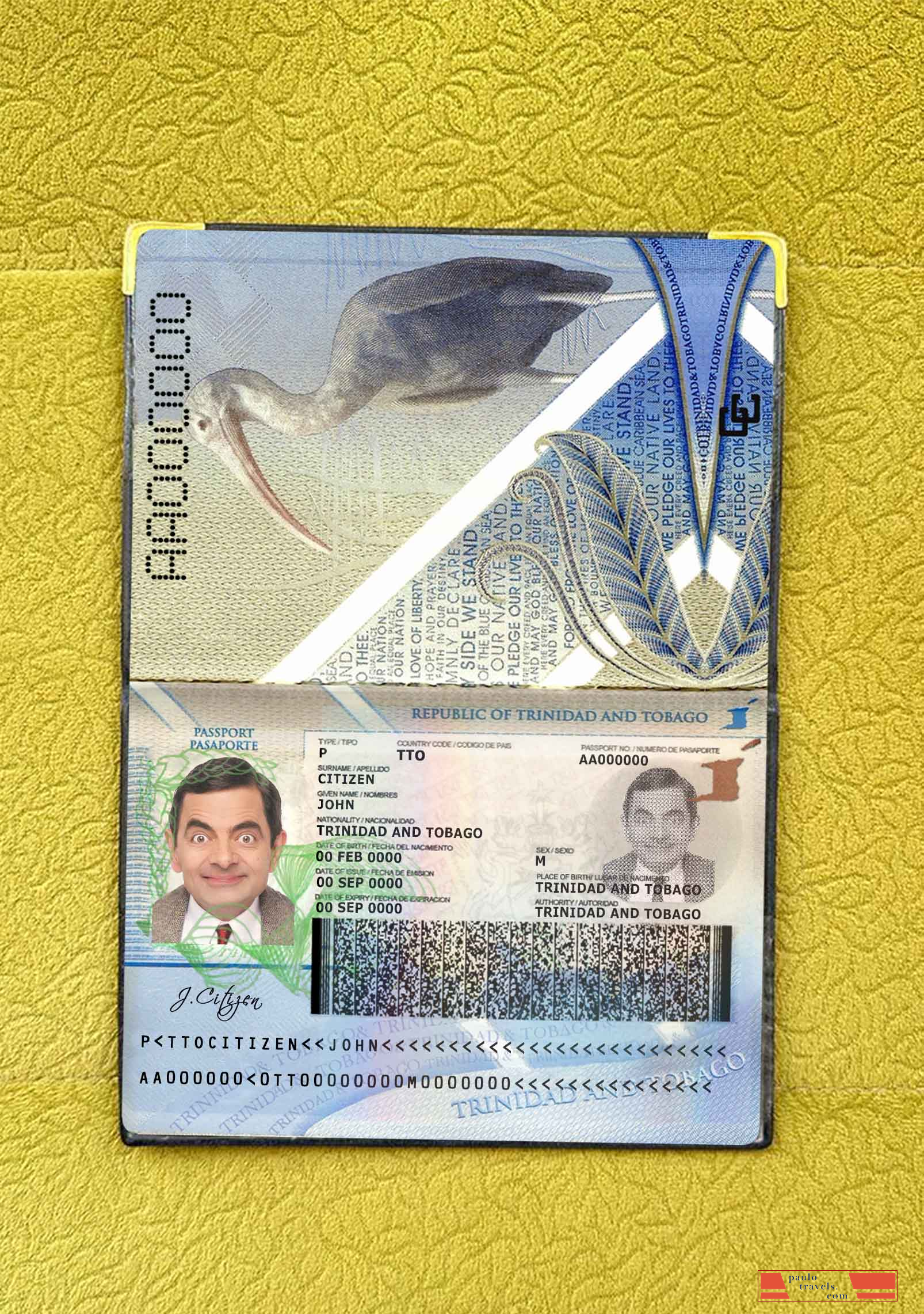 Trinidad and Tobago passport photo look PSD template